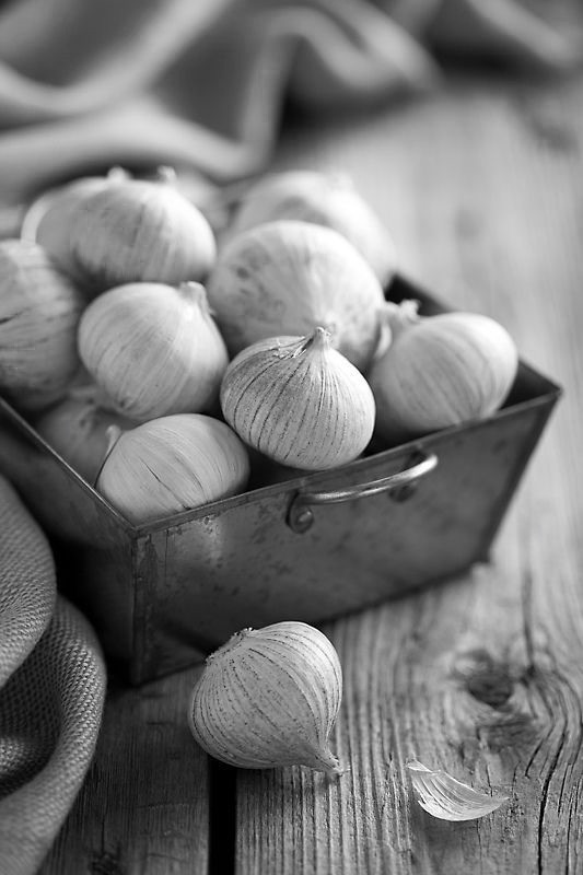 3F0647B6-6028-4900-85C1-C7100102D0AB_1_201_a