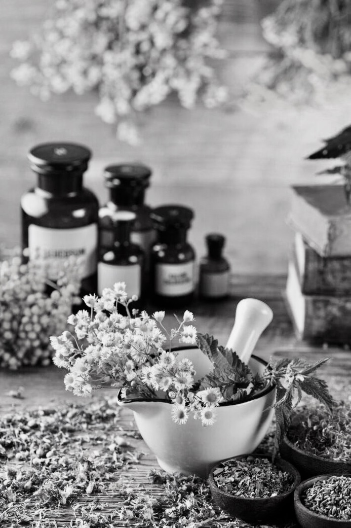 8319623D-FC33-42F8-A31A-5D9FB2C1284E_1_201_a